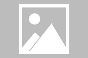 前湖人球员科尔-斯威德官宣签约土耳其艾菲斯俱乐部